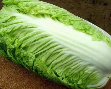 Как получить хороший урожай салатной капусты Как получить хороший урожай салатной капусты