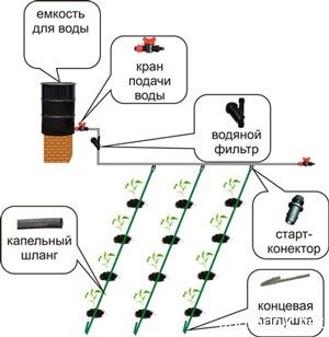 Особенности сборки комплектующих капельного полива Особенности сборки комплектующих капельного полива