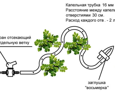 Как сделать систему полива своими руками Как сделать систему полива своими руками
